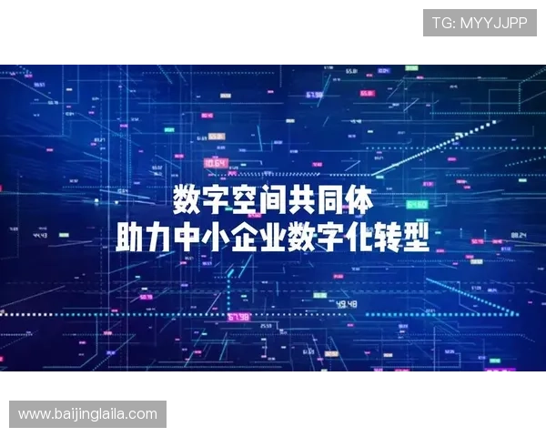 壹号网址：壹号网址在企业中的应用价值与推广策略，助力企业数字化转型